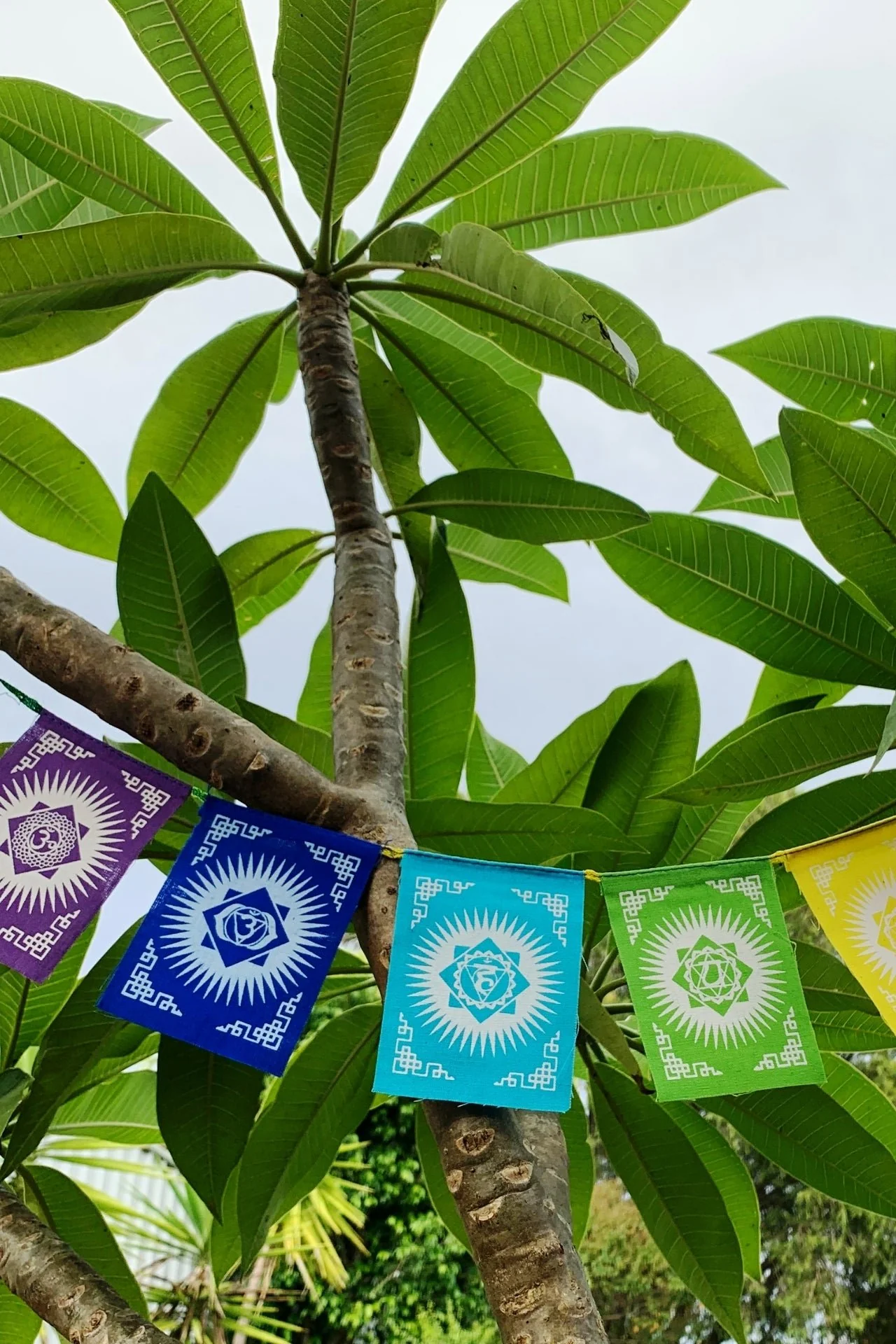Mini Seven Chakra Prayer Flags - Image 4