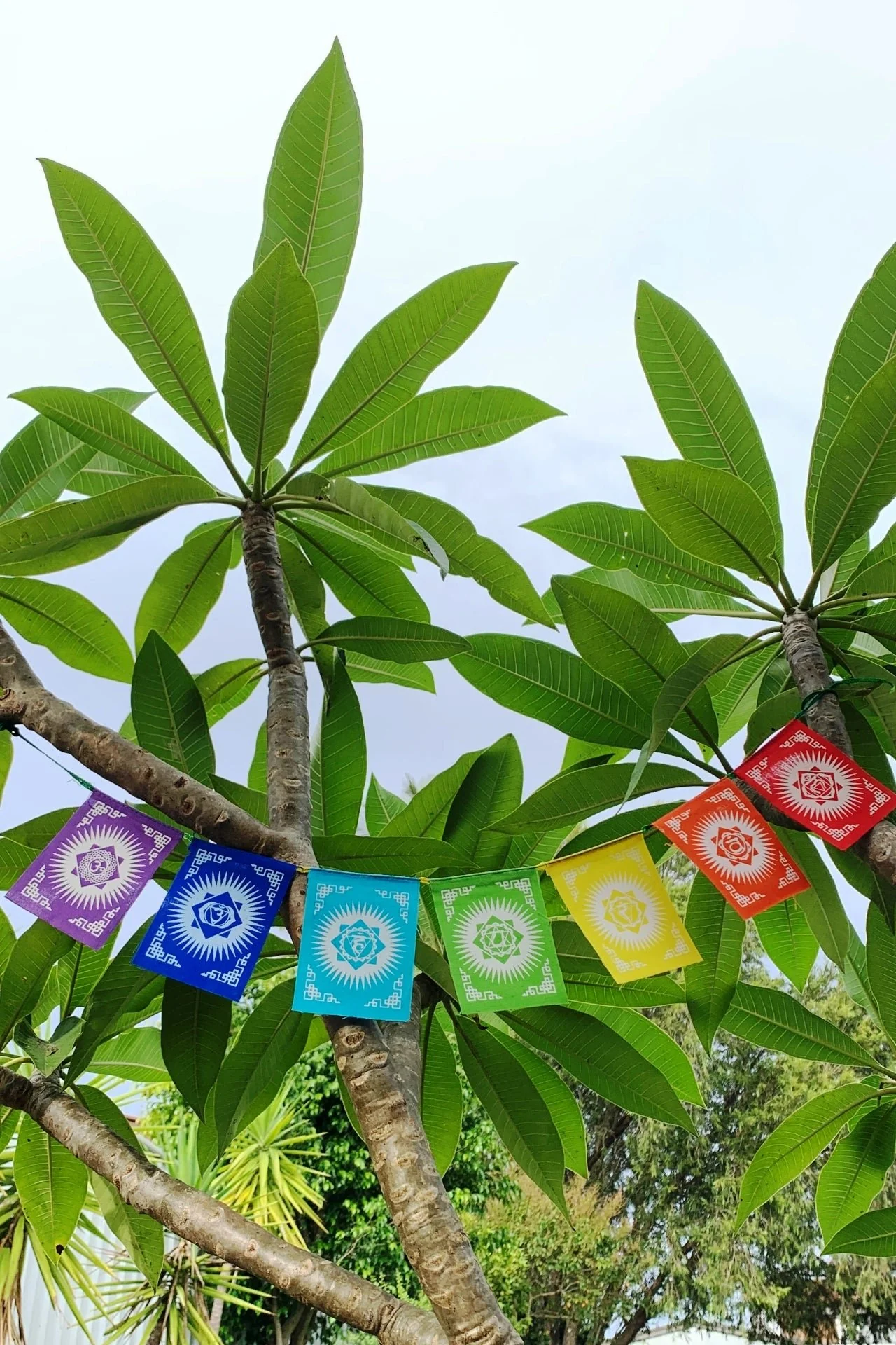 Mini Seven Chakra Prayer Flags - Image 6