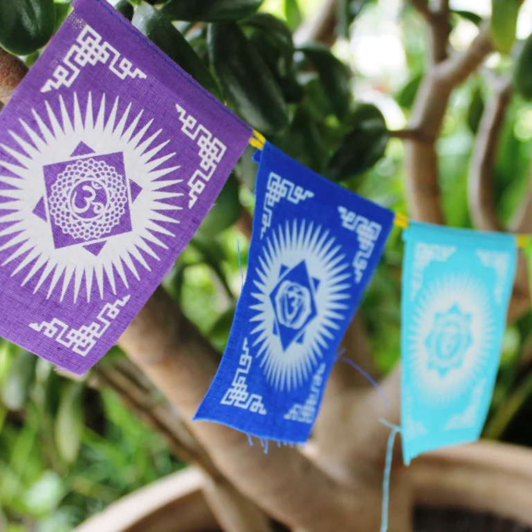 Mini Seven Chakra Prayer Flags - Image 7